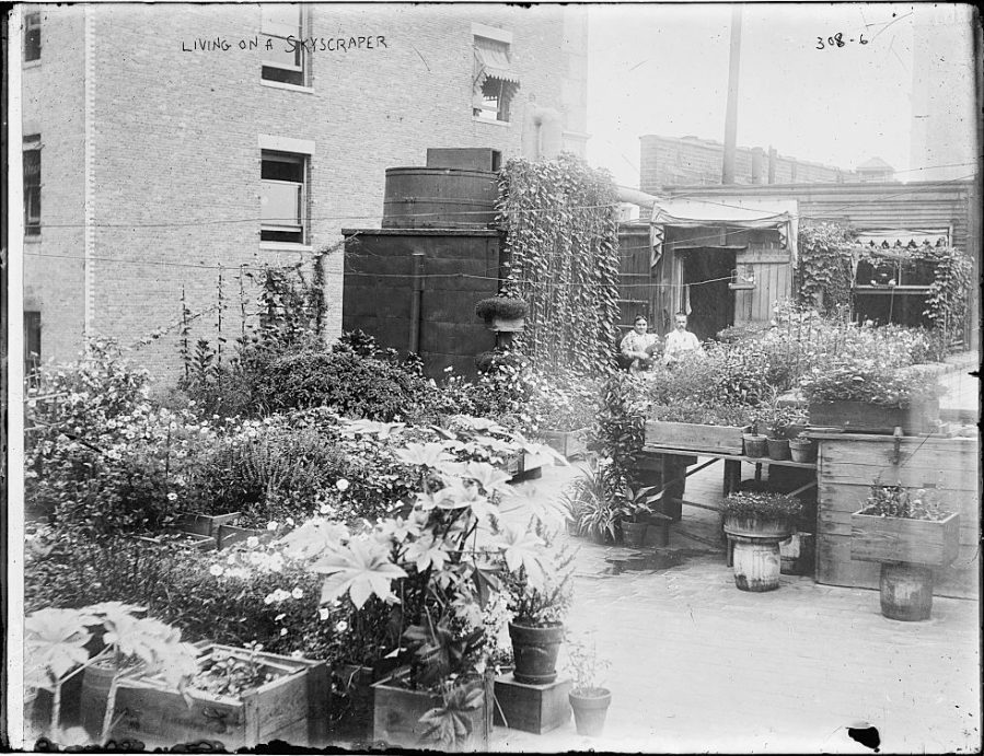 vintage photo of residents on penthouse
